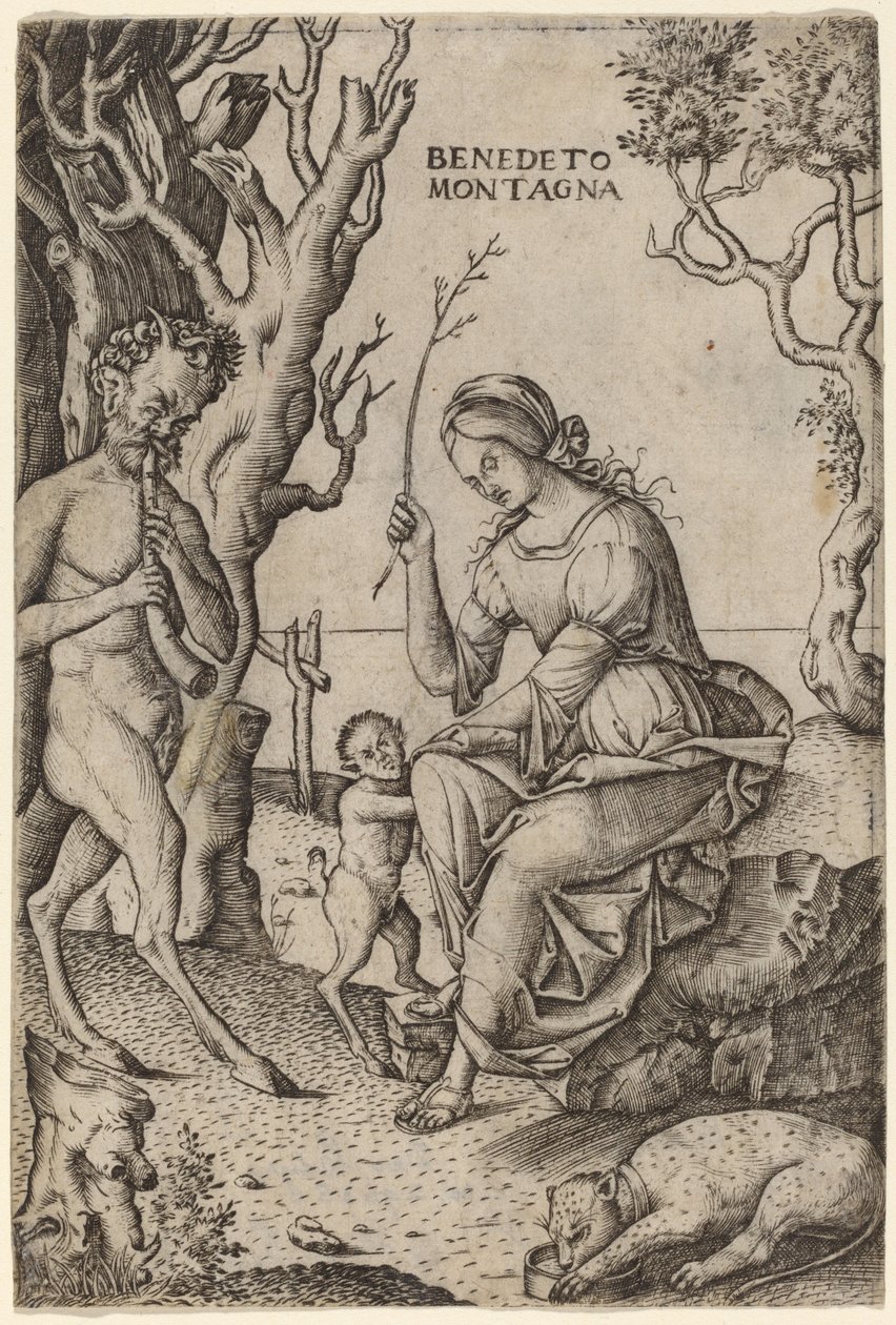 Famiglia di satiri da Benedetto Montagna