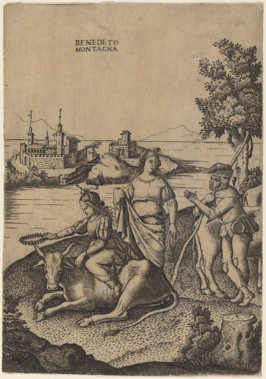 Il ratto d