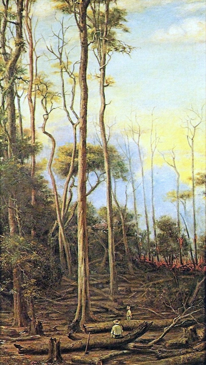Alberi di Paroba da Benedito Calixto