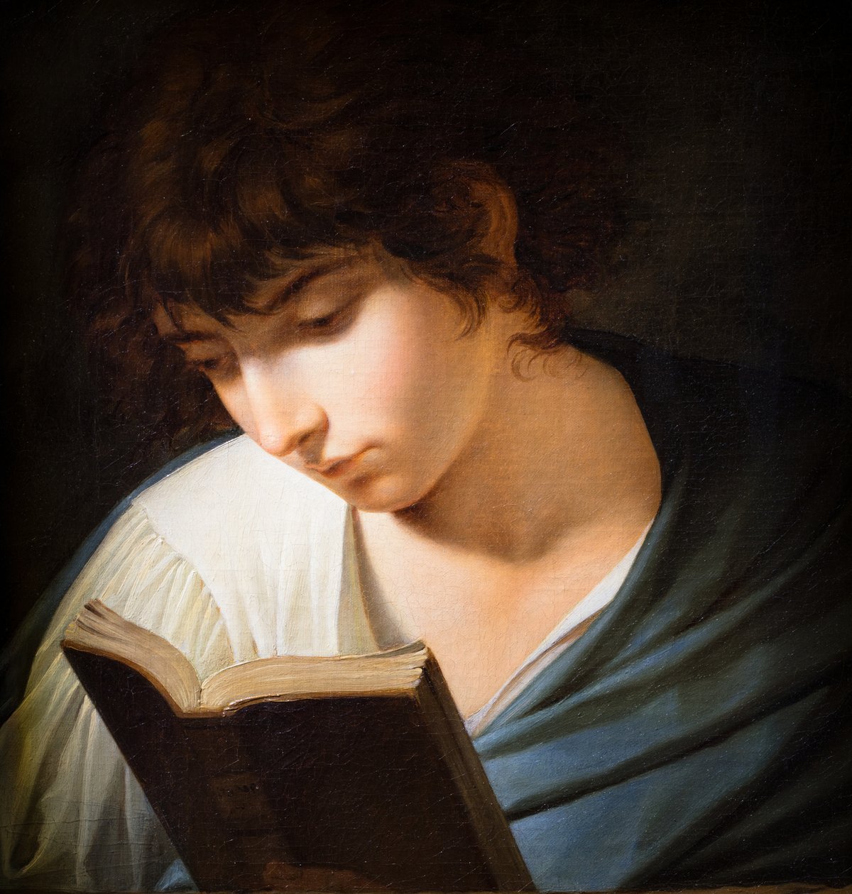 Giovane che legge Omero da Benigne Gagnereaux