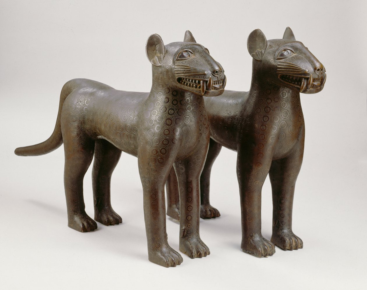Coppia di leopardi da Benin