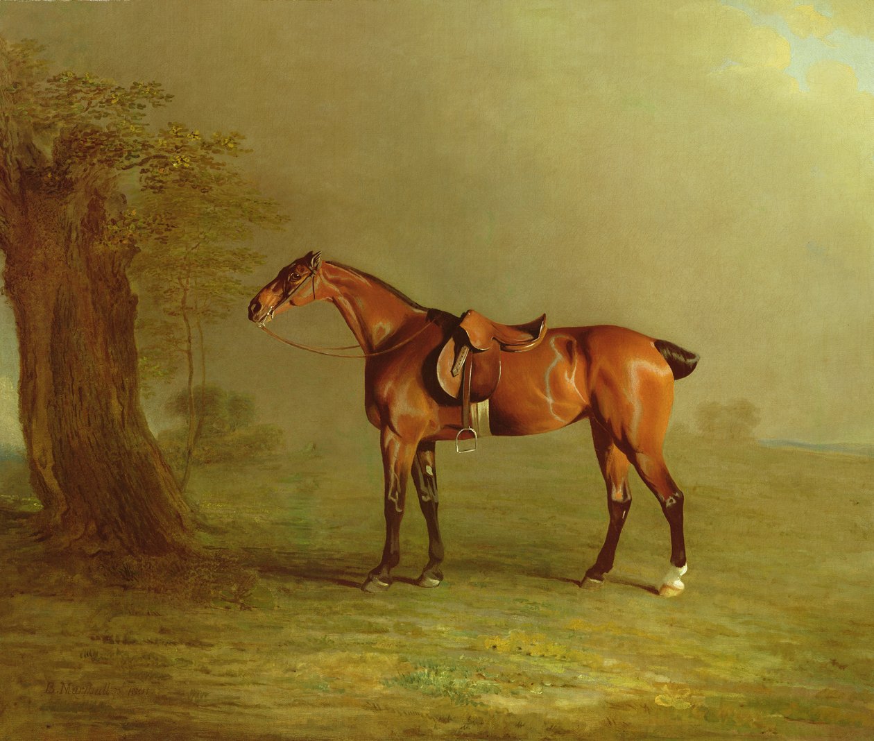Cavallo da corsa da Benjamin Marshall