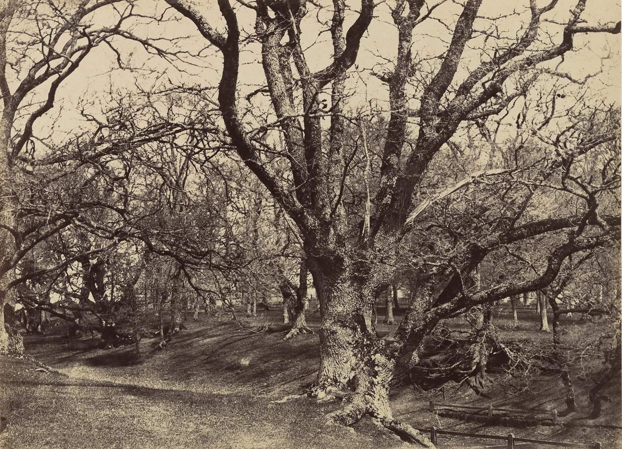 Pepperharrow Park, Surrey, 1852-54 da Benjamin Brecknell Turner