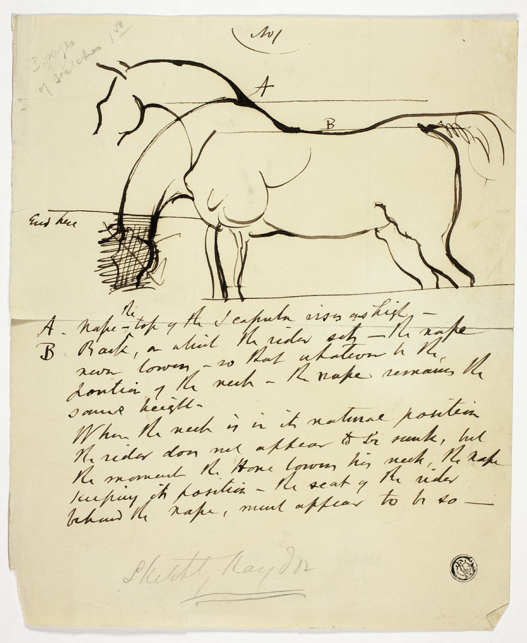 Schizzo di cavallo con annotazioni da Benjamin Robert Haydon
