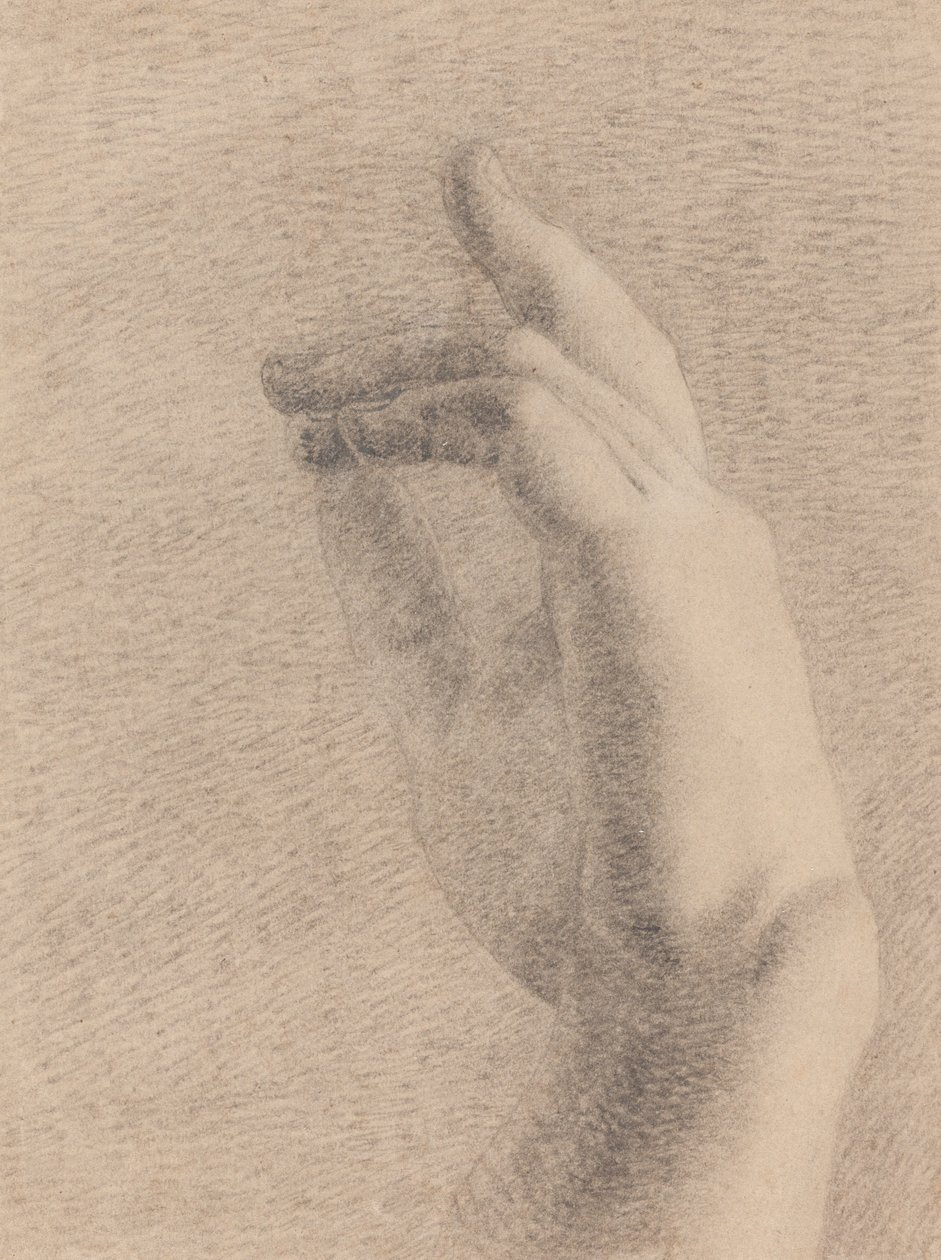 Studio di una mano [recto] da Benjamin Robert Haydon