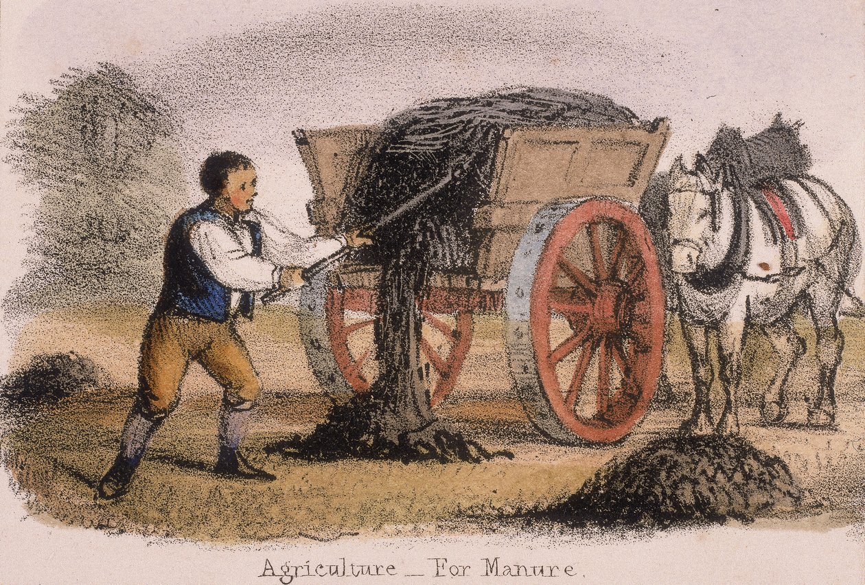 Agricoltura, per concime, c1845 da Benjamin Waterhouse Hawkins