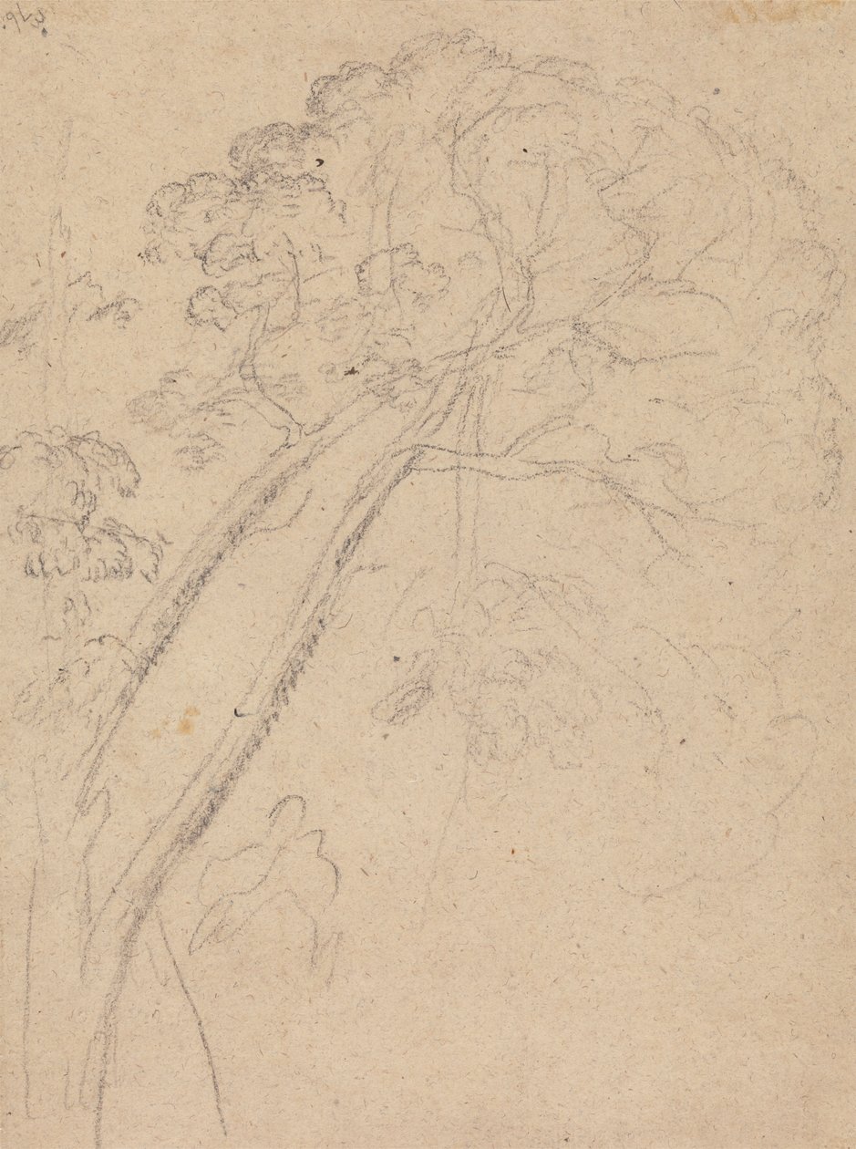 Studio di costume per il ritratto di una signora da Benjamin West