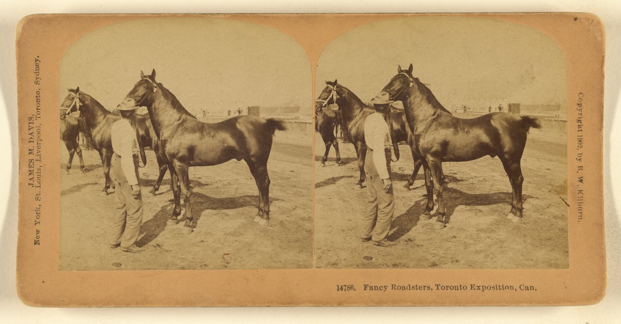 Roadster di fantasia, Esposizione di Toronto, Can. da Benjamin West Kilburn
