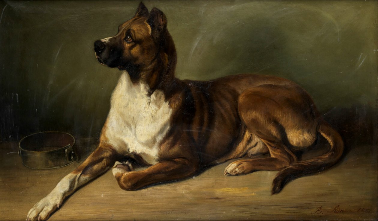 Benno Adam Ritratto di cane 1852 da Benno Adam