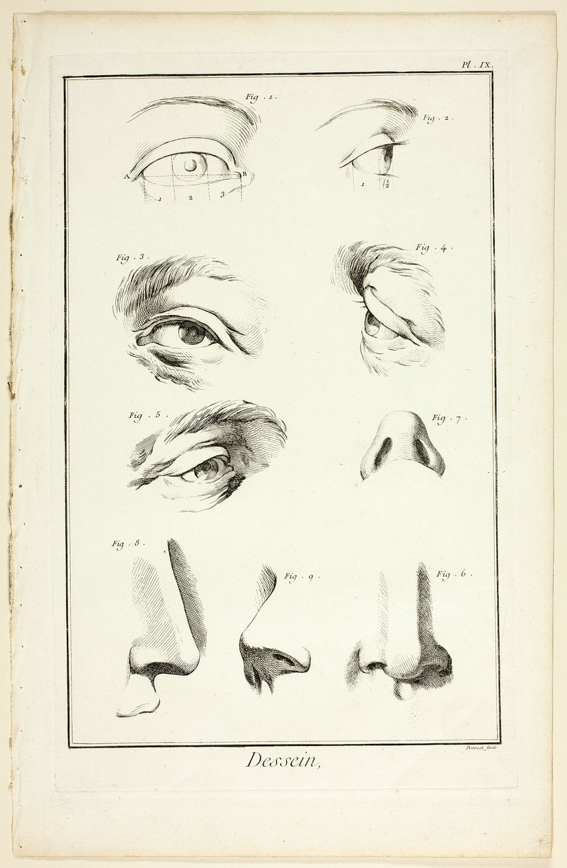 Design: Anatomia facciale da Encyclopédie da Benoit Louis Prevost
