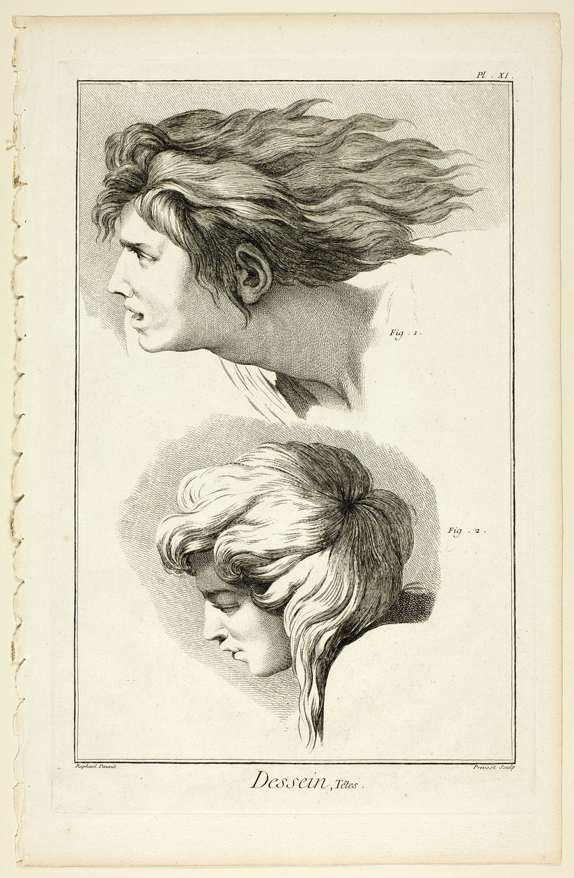 Design: Teste, da Encyclopédie da Benoit Louis Prevost