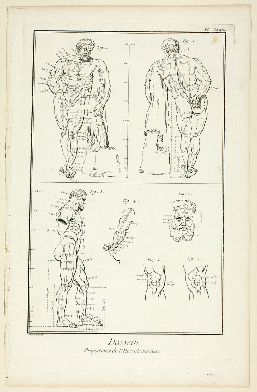 Disegno: Proporzioni dell