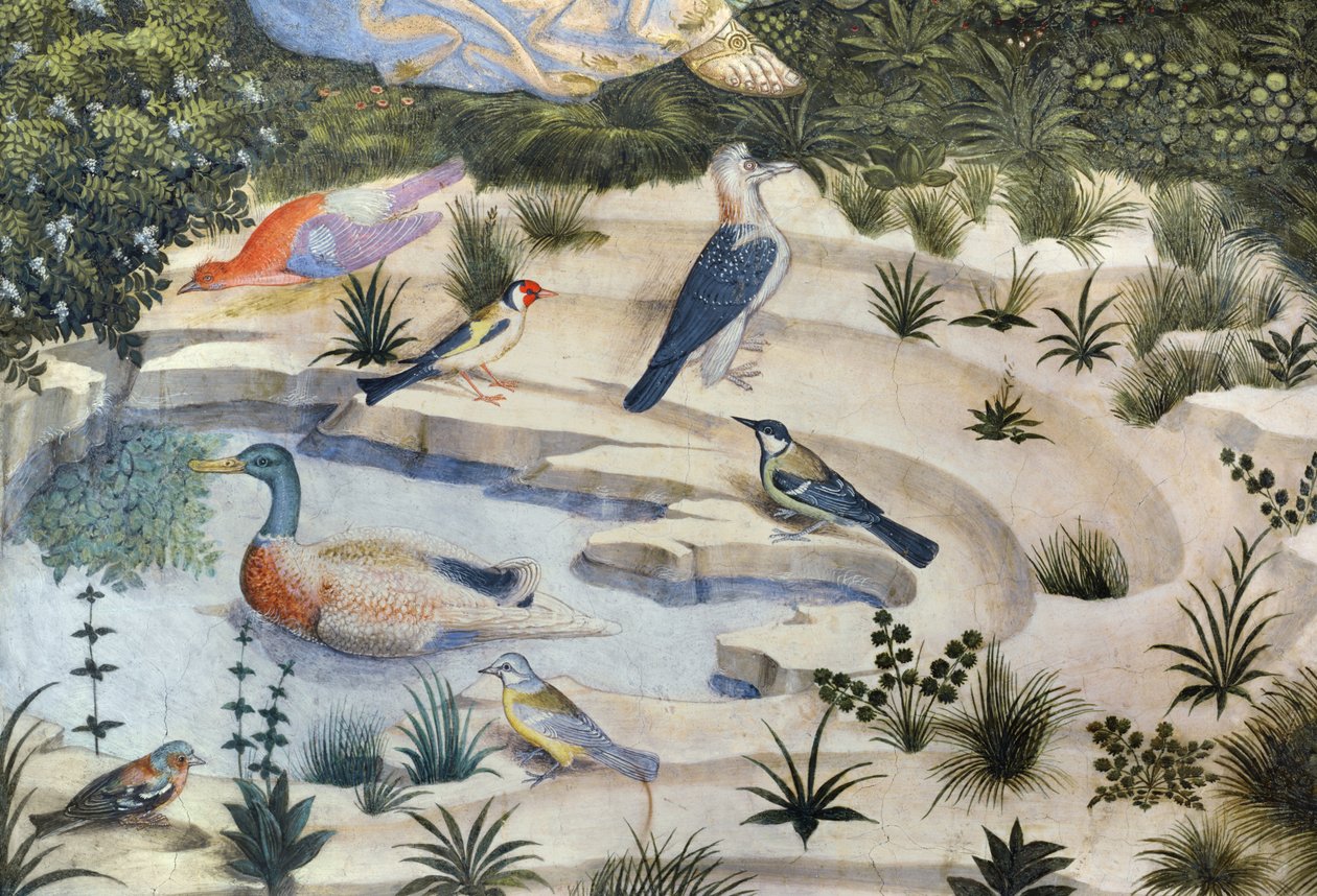 Uccelli intorno a uno stagno, dettaglio (ciclo del Viaggio dei Magi) da Benozzo di Lese di Sandro Gozzoli