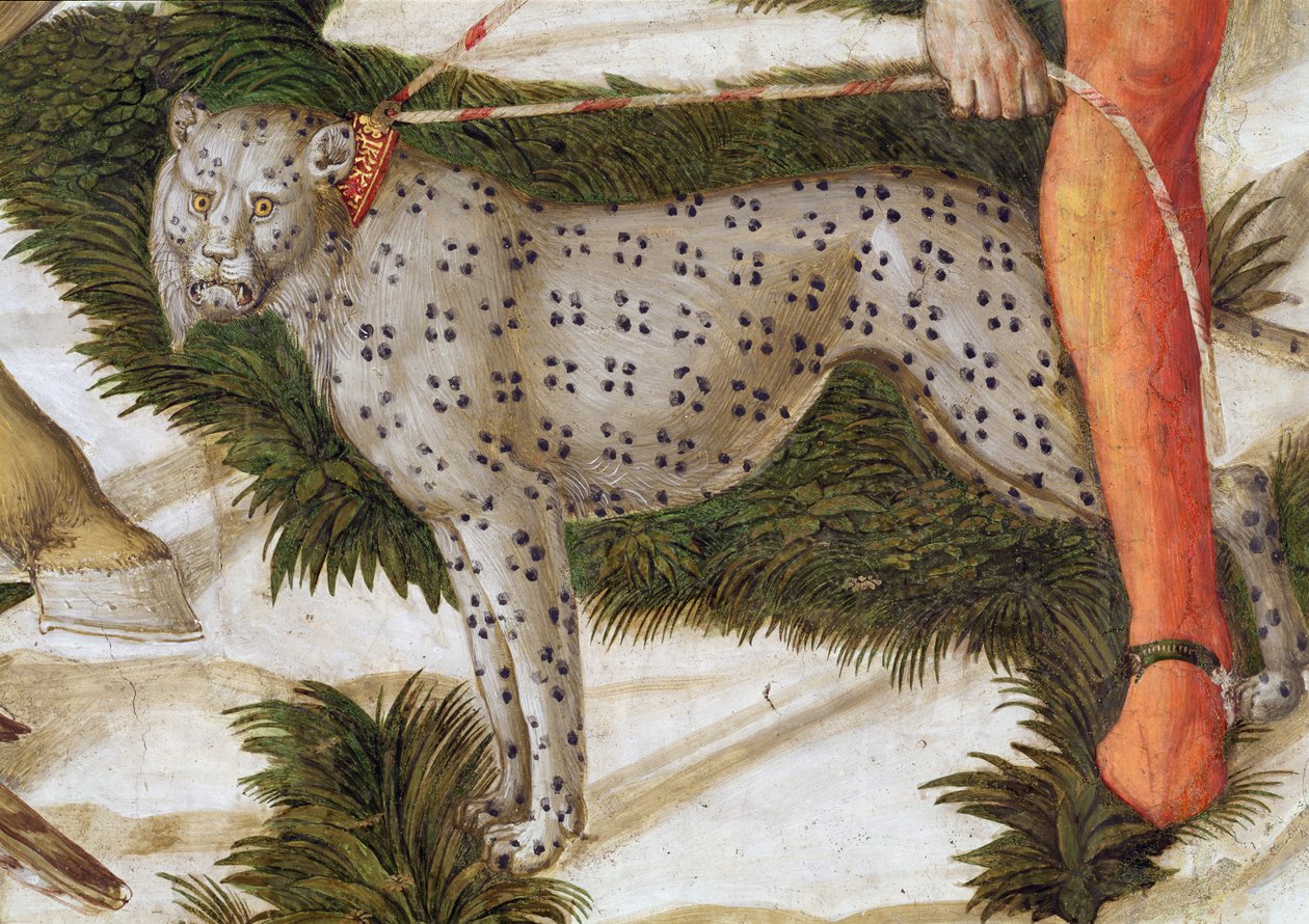 Leopardo al guinzaglio, dettaglio (ciclo del Viaggio dei Magi) da Benozzo di Lese di Sandro Gozzoli