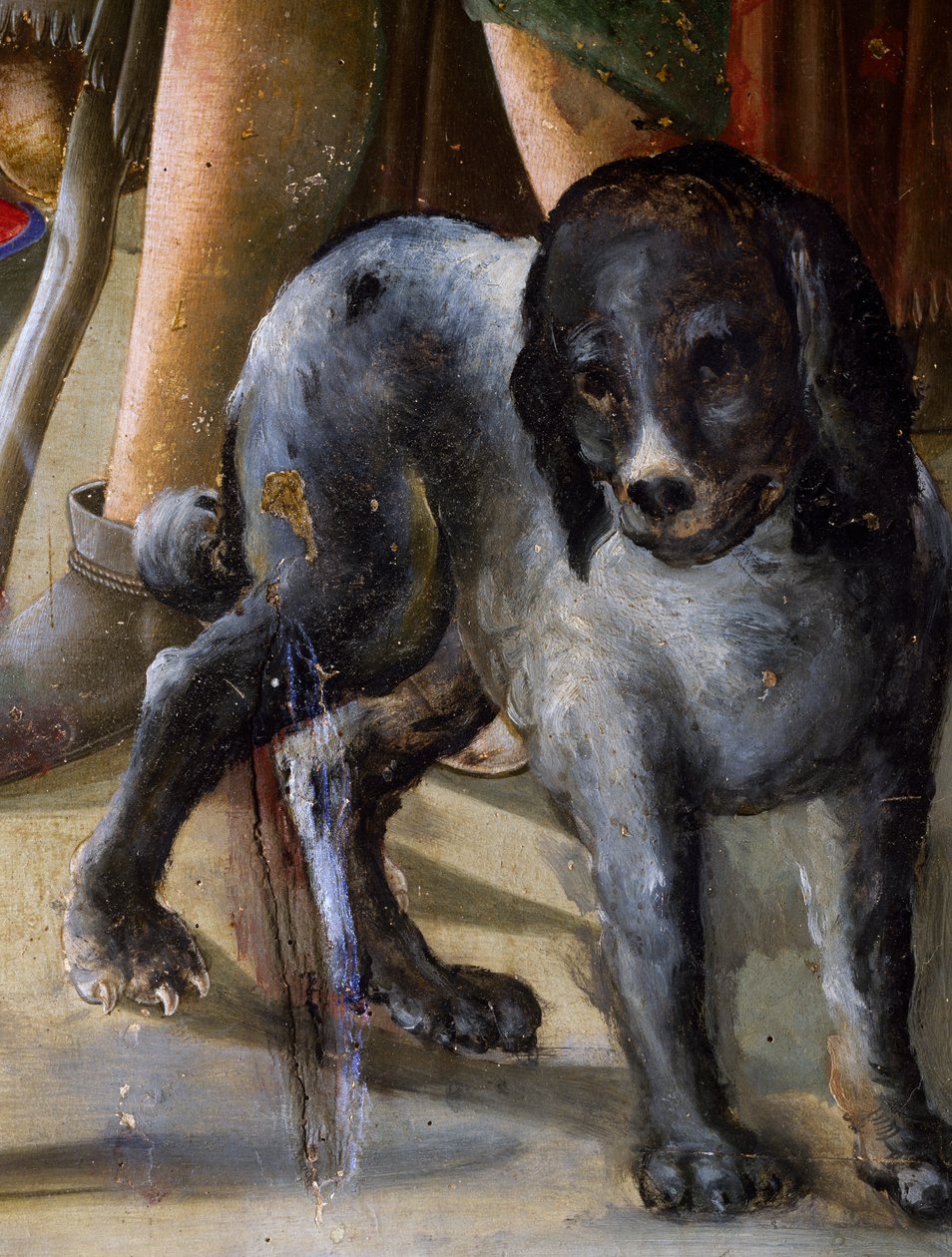 Cane (dettaglio) da Benvenuto di Giovanni