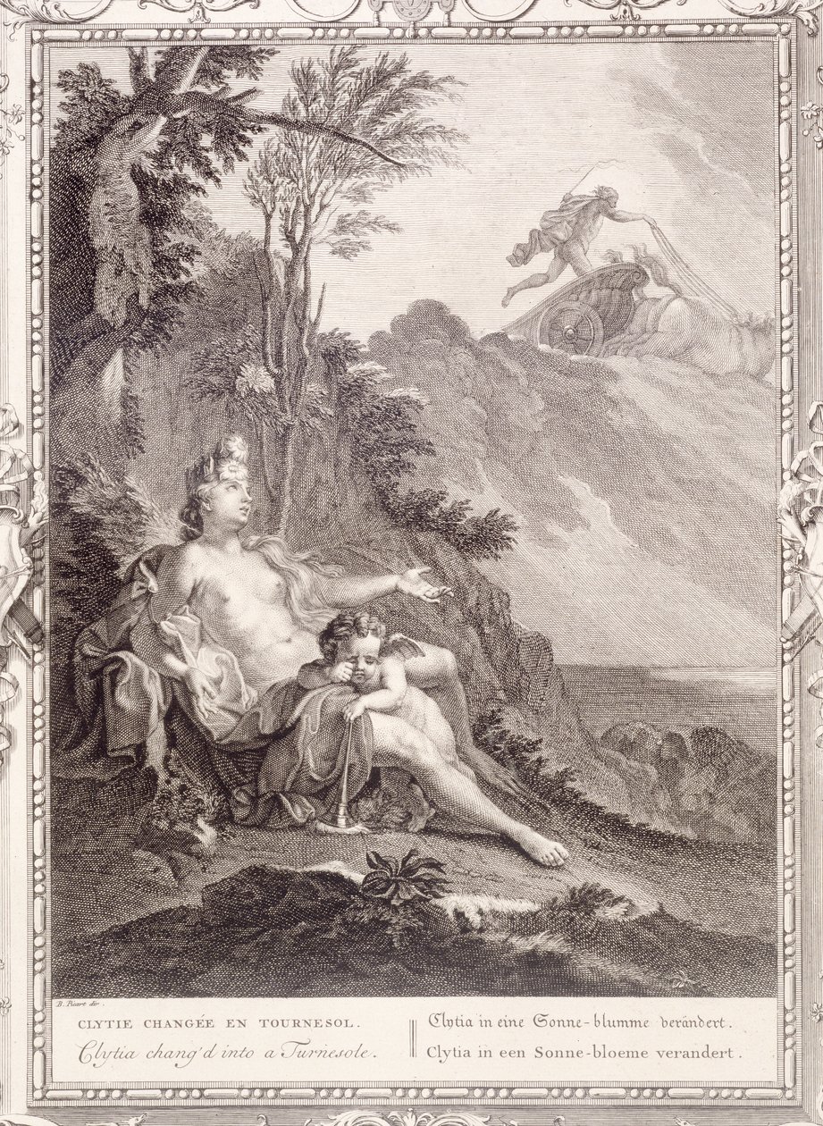 Clytia trasformata in girasole, 1731 da Bernard Picart