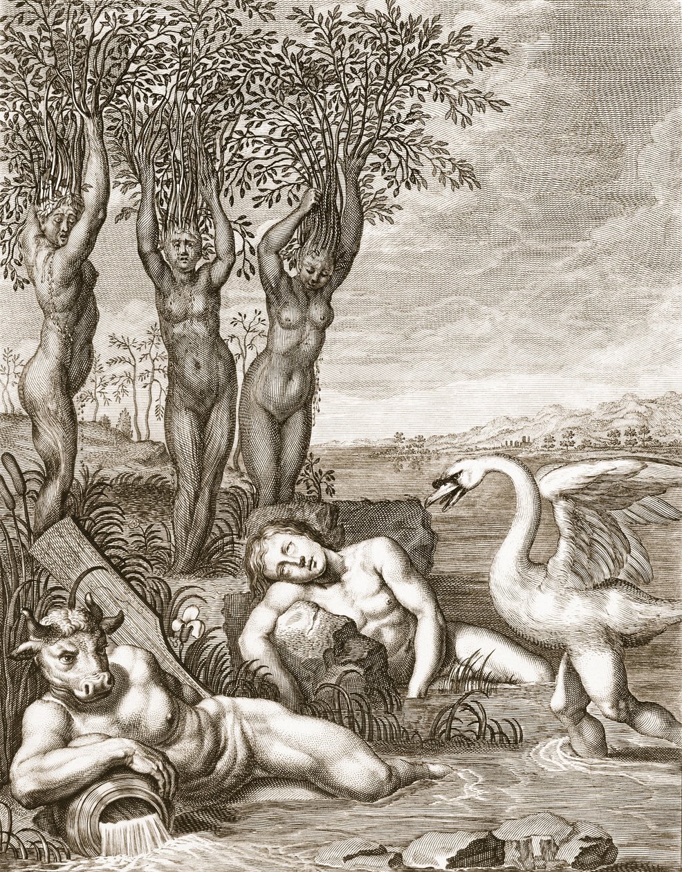Cigno trasformato in cigno e sorelle di Fetonte in pioppi, 1731 da Bernard Picart