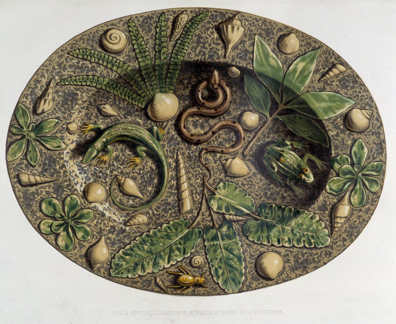 Piatto a rettili - Piatto ceramico, in "The work of Bernard Palissy" di C. Delange e C. Borneman, Parigi da Bernard (after) Palissy