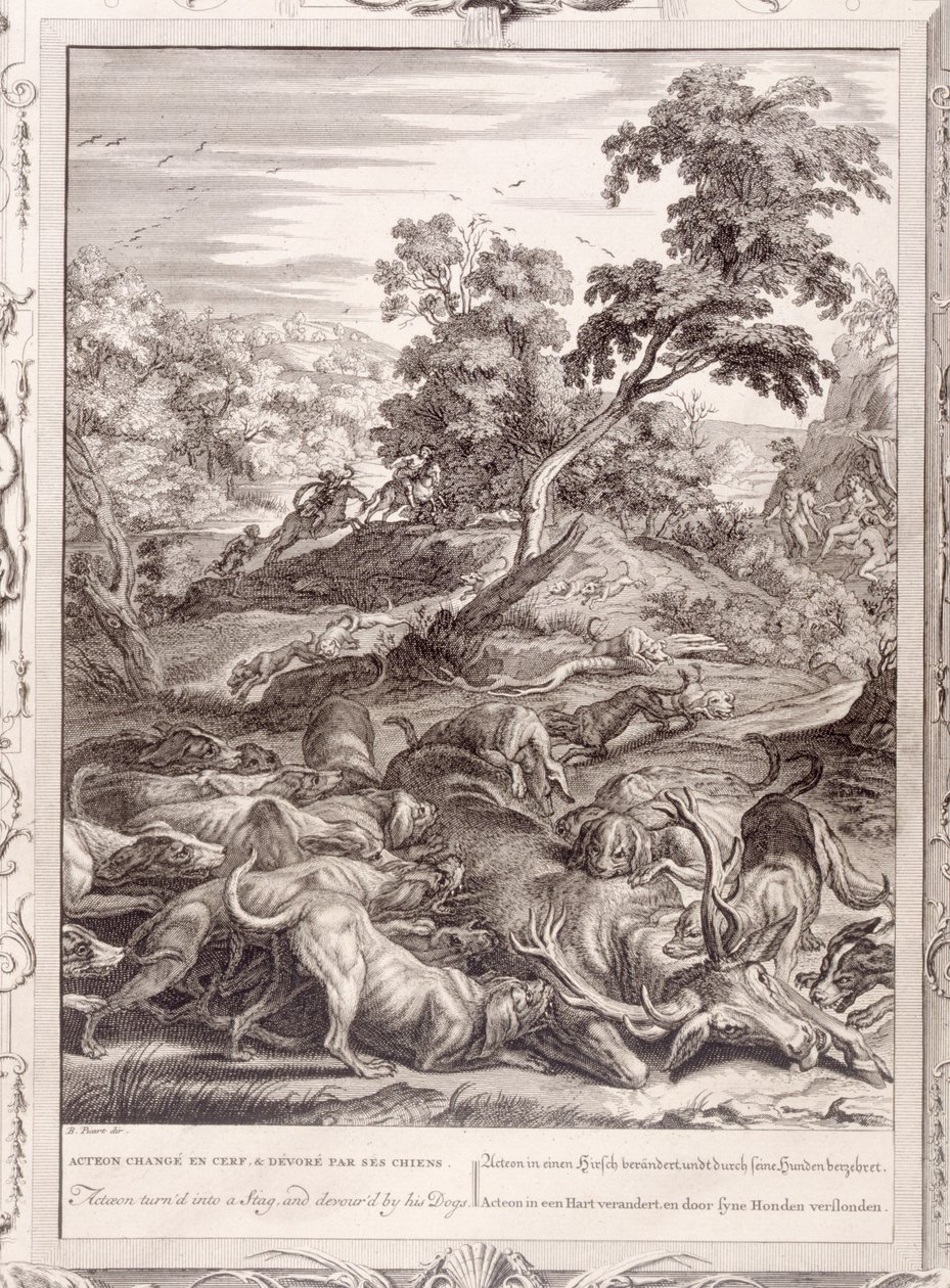 Atteone trasformato in cervo e divorato dai suoi cani, 1731 da Bernard Picart