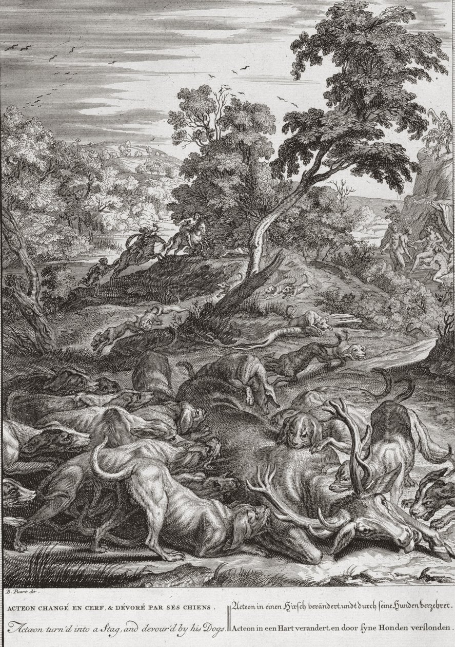 Atteone trasformato in cervo e divorato dai suoi cani, 1731 da Bernard Picart