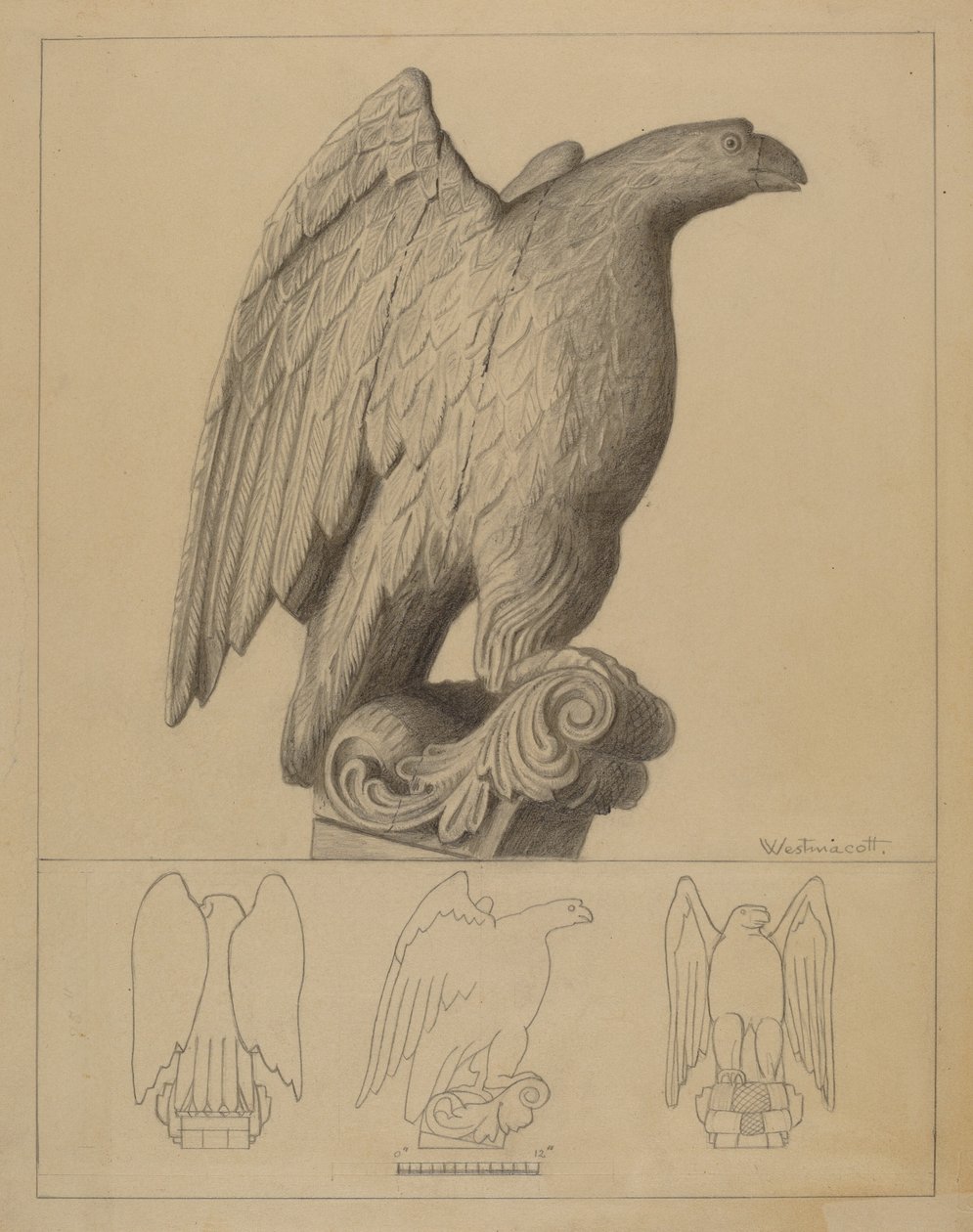 Aquila da Bernard Westmacott