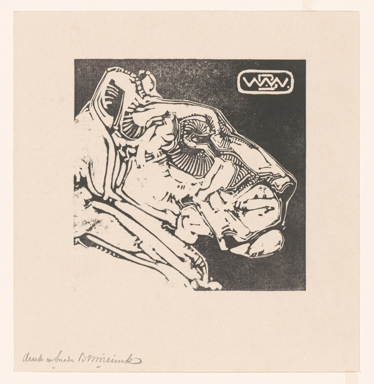 Testa di una leonessa da Bernard Willem Wierink (signed by artist)