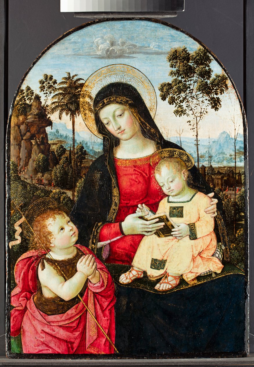 Vergine con Bambino e San Giovanni Battista, 1490-95 da Bernardino di Betto Pinturicchio