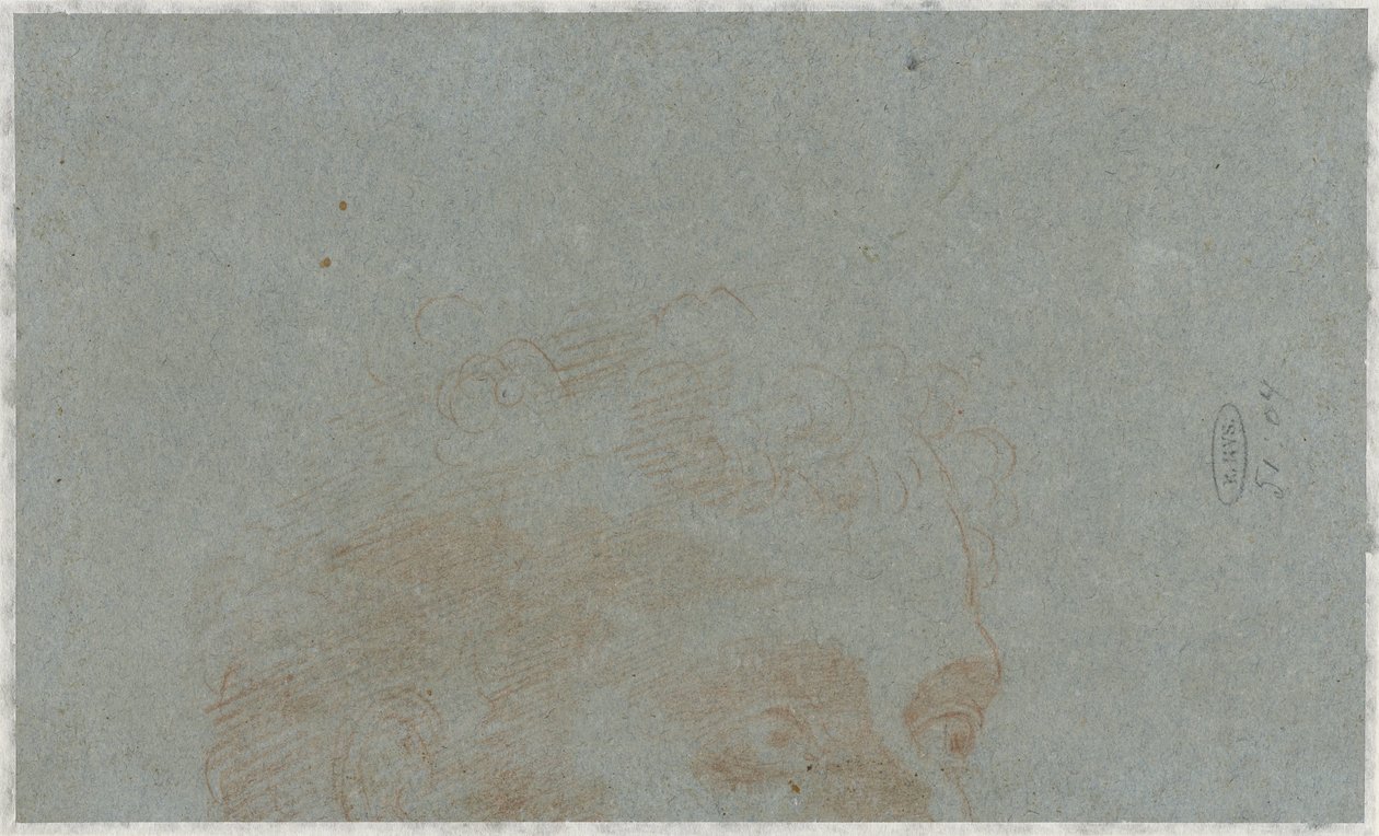 Parte della testa di un uomo da Bernardino Lanino (possibly)