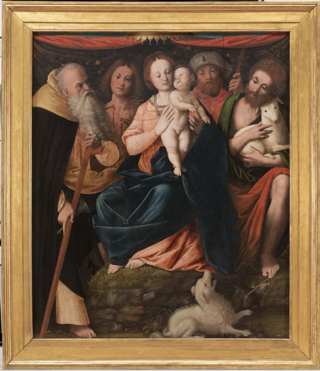 Madonna col Bambino e i Santi Antonio Abate, Sebastiano, Rocco e Giovanni Battista da Bernardino Lanino