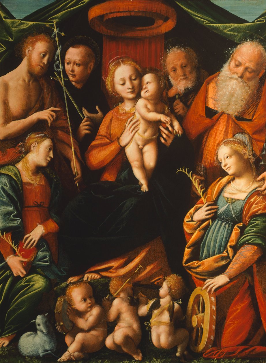 Madonna con Bambino e Santi da Bernardino Lanino