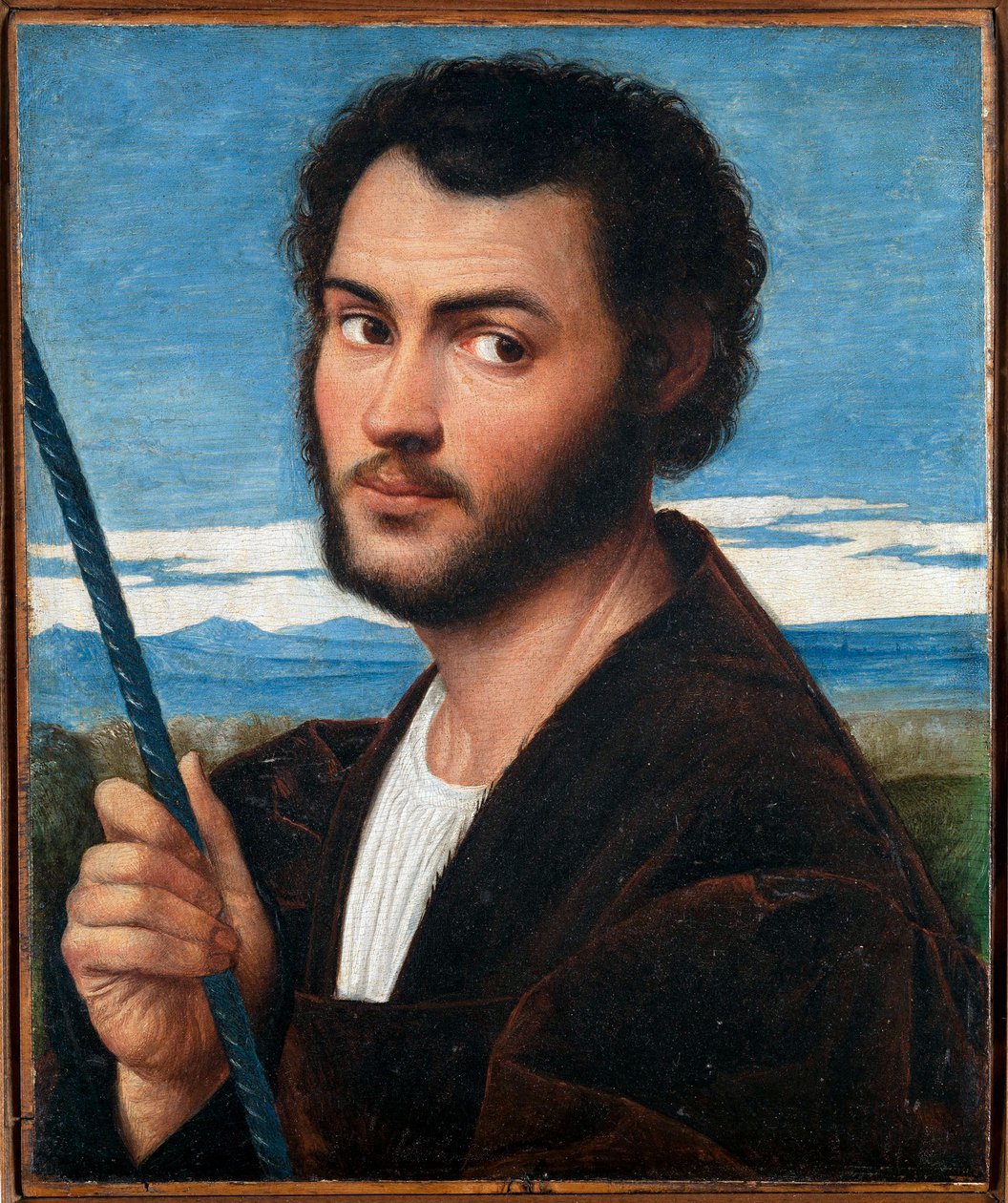 Ritratto di un uomo da Bernardino Licinio