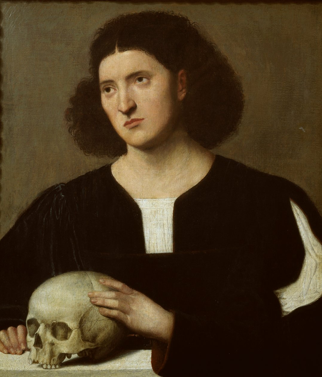 Ritratto di un Giovane con un Teschio, c. 1510-1515 da Bernardino Licinio