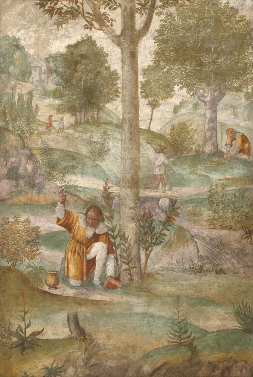 Cefalo nasconde i gioielli da Bernardino Luini
