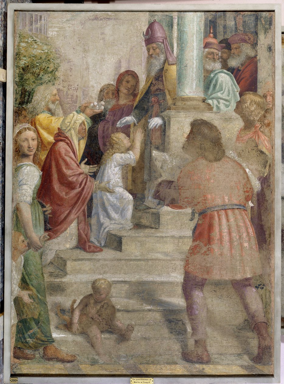Presentazione di Maria al Tempio da Bernardino Luini