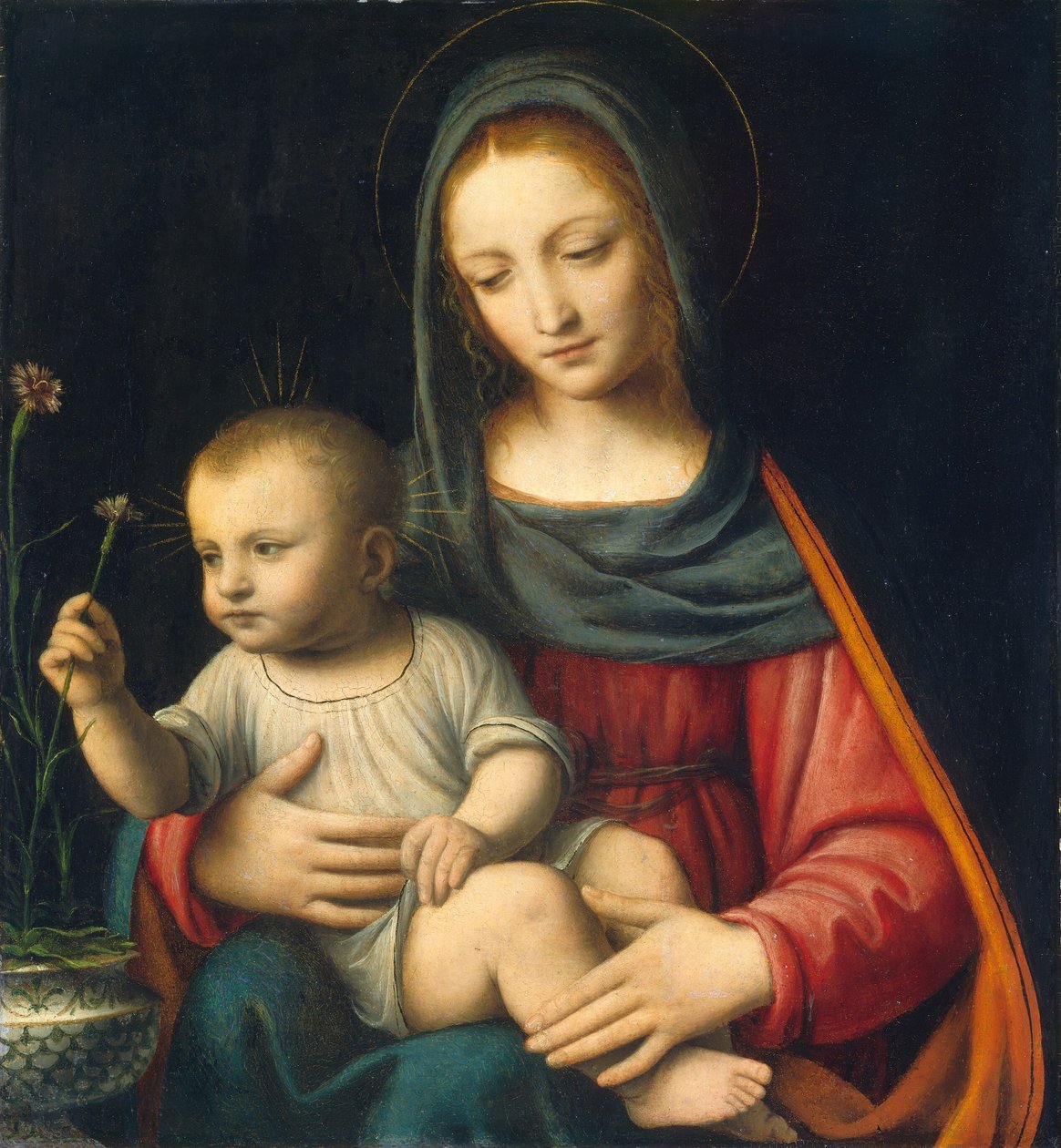 La Madonna del Garofano da Bernardino Luini