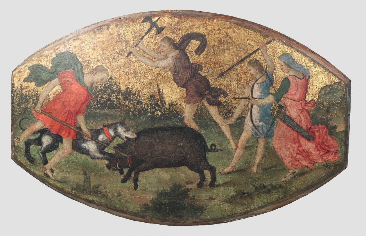 Caccia al cinghiale calidonio da Bernardino Pinturicchio
