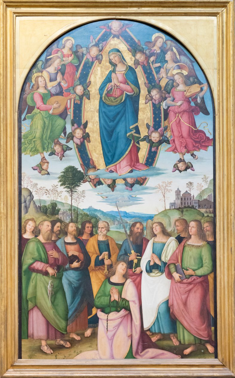 Assunzione della Vergine Maria da Bernardino di Betto (& studio) Pinturicchio