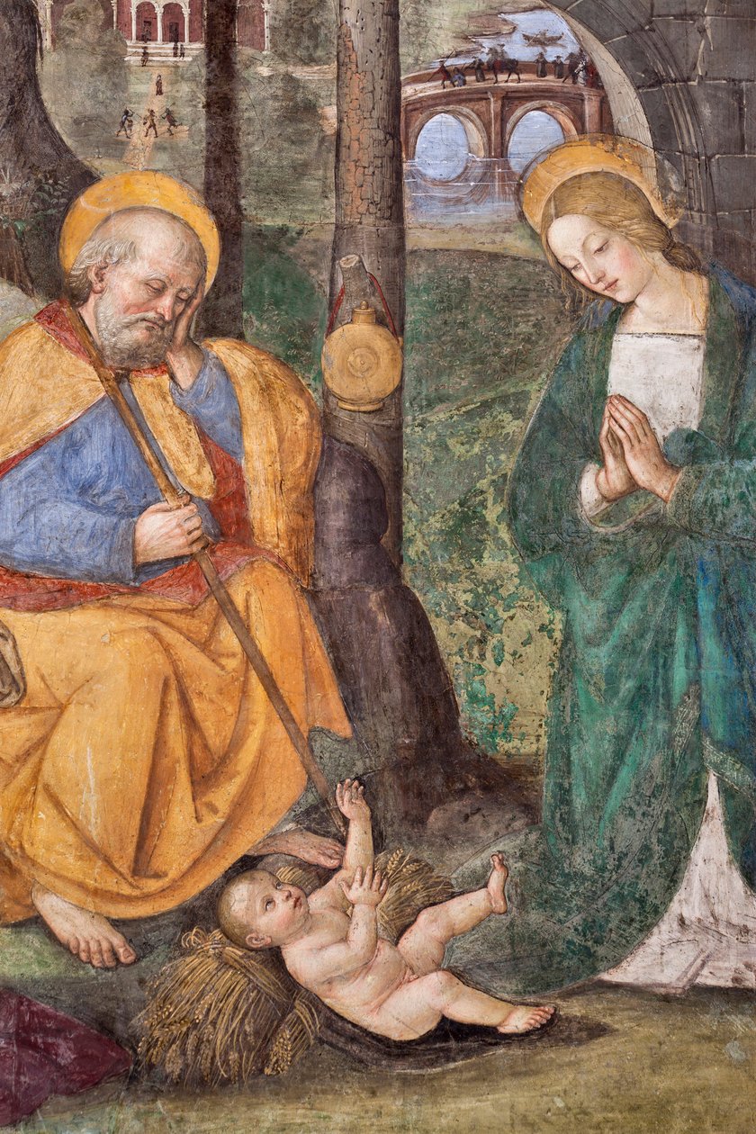 Adorazione dei pastori (dettaglio) (affresco di Pinturicchio, Bernardino di Betto, 1454-1513, 1484-1492, Chiesa di Santa Maria del Popolo, Basilica di Santa Maria del Popolo, Cappella Basso della Rovere, Roma, Italia) da Bernardino di Betto Pinturicchio