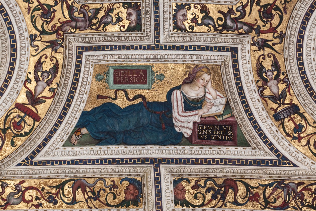 Sibilla Persiana (dettaglio) da Bernardino di Betto Pinturicchio