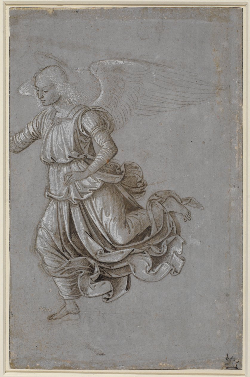 Studio di un angelo volante da Bernardino di Betto Pinturicchio