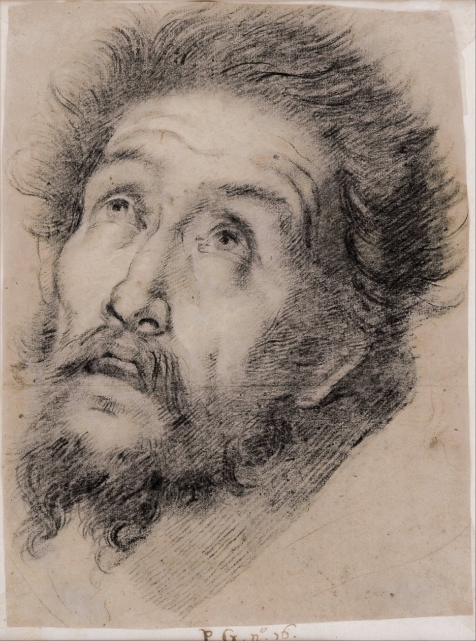 Studio per San Francesco d