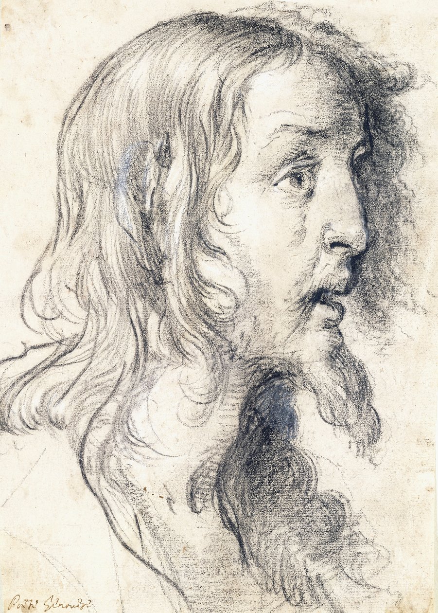 La Testa di Cristo di Profilo a Destra da Bernardo Strozzi