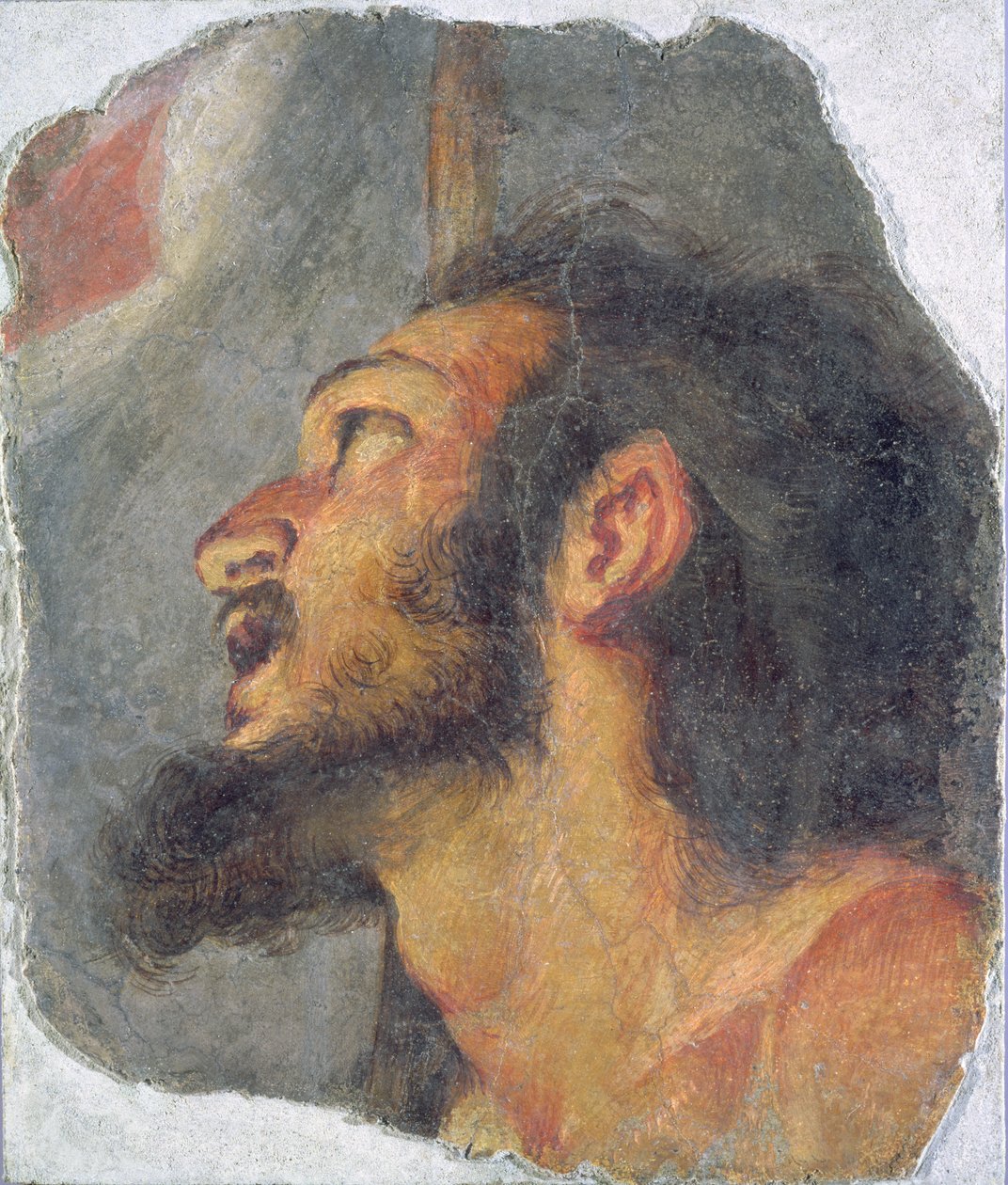 La testa di San Giovanni Battista (frammento) da Bernardo Strozzi