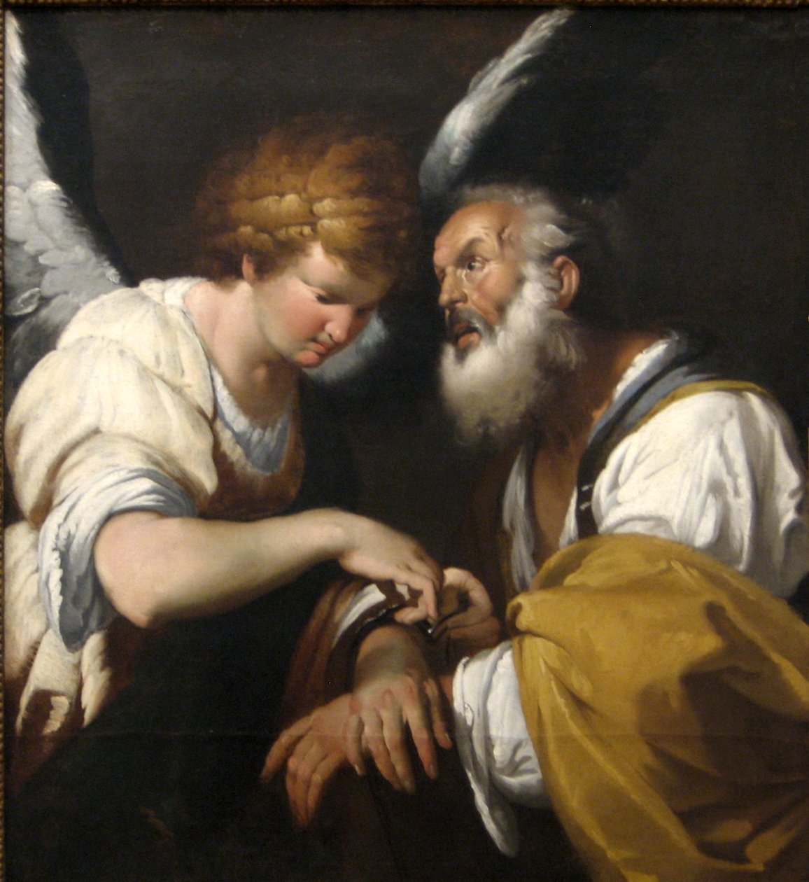 La liberazione di San Pietro da Bernardo Strozzi