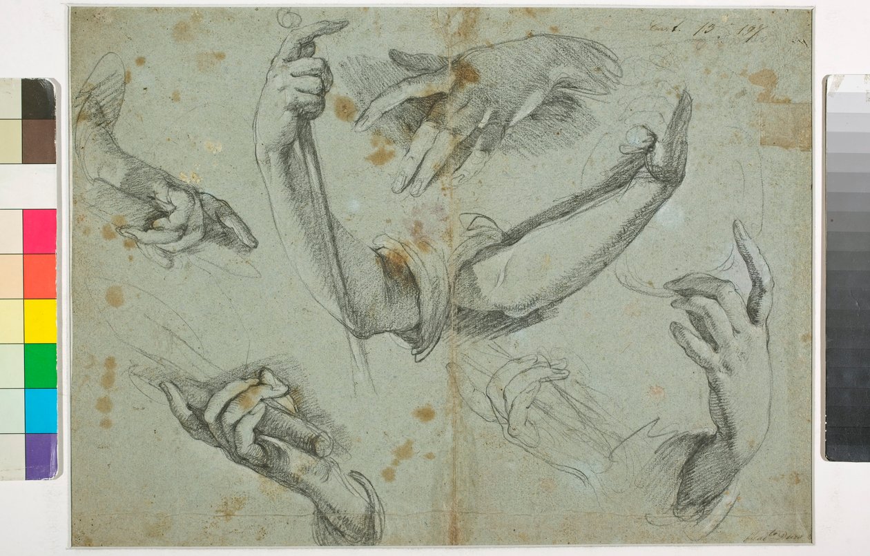 Immagine Sconosciuta da Bernardo Strozzi