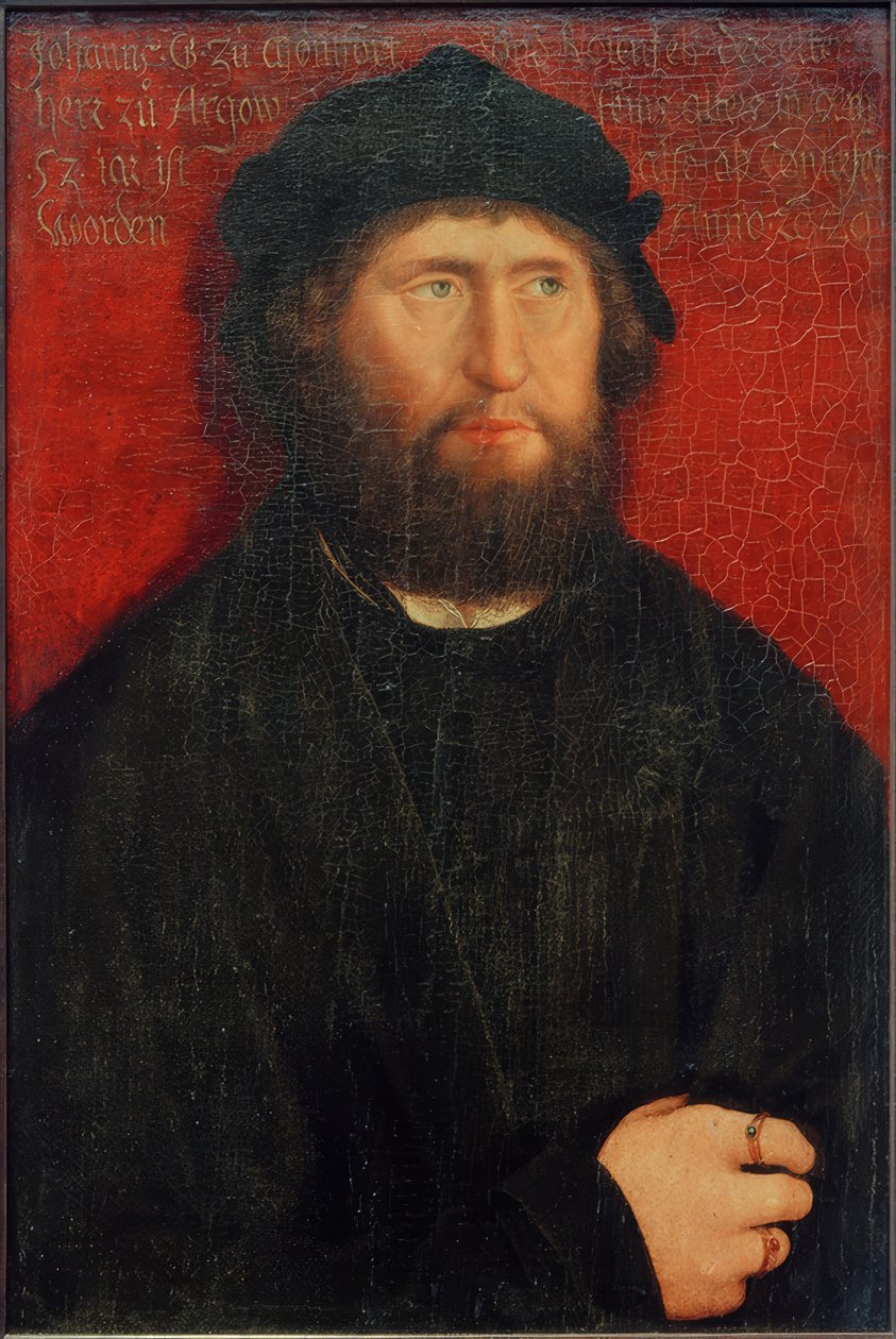 Ritratto di Giovanni I, Conte di Montfort-Rothenfels da Bernhard Strigel