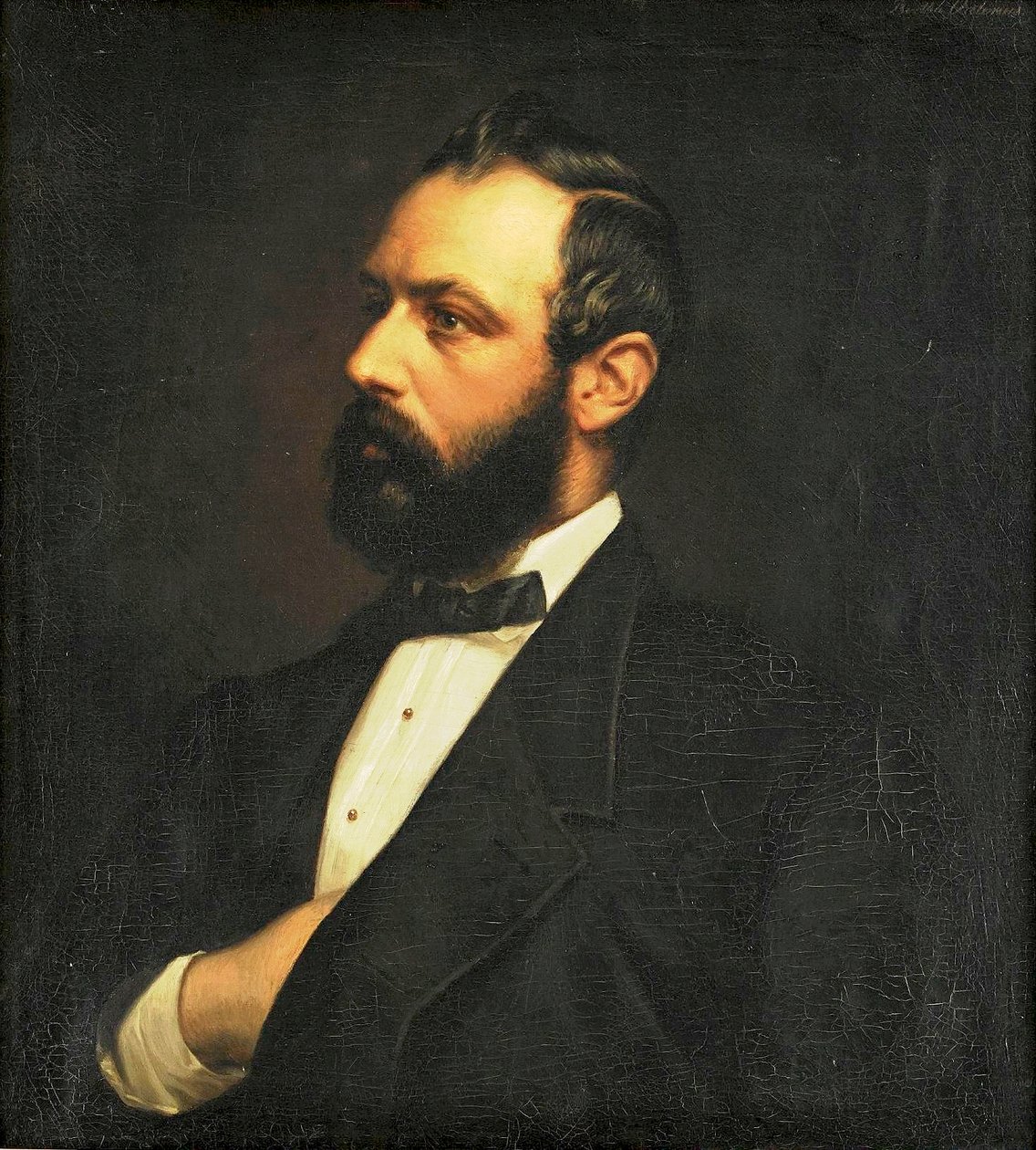 Ritratto di Carlo XV da Bertha Valerius