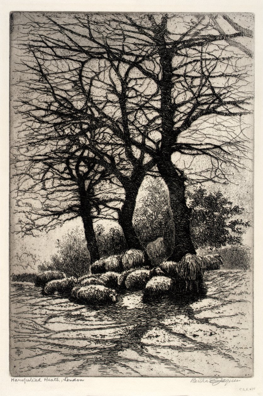 Hampstead Heath, Londra da Bertha E. Jaques