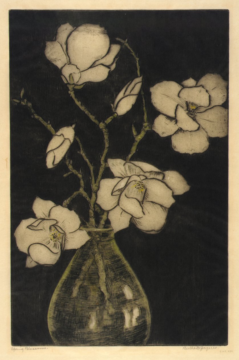 Fiori di primavera (Magnolia arborea) da Bertha E. Jaques