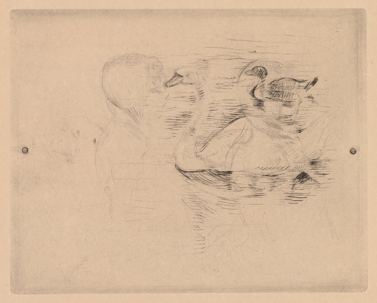 Cigno e anatra, con ritratti di Julie da Berthe Morisot